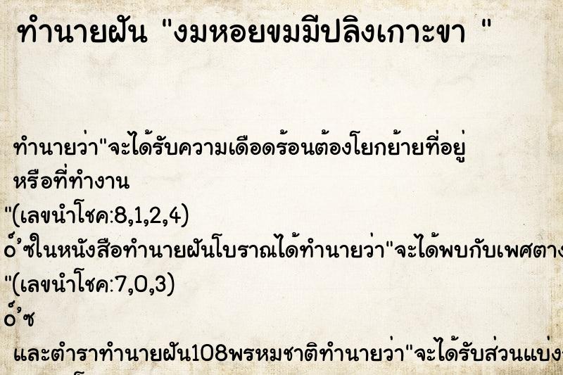 ทำนายฝันทำนายฝันงมหอยขมมีปลิงเกาะขา